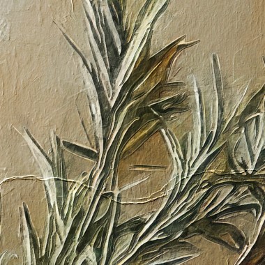 fragment copy3915